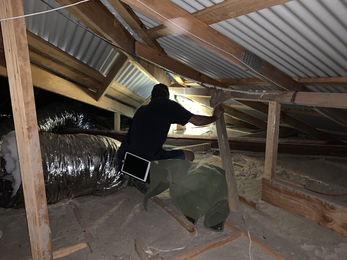 perth termite inspections