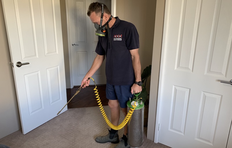 termite treatments perth01